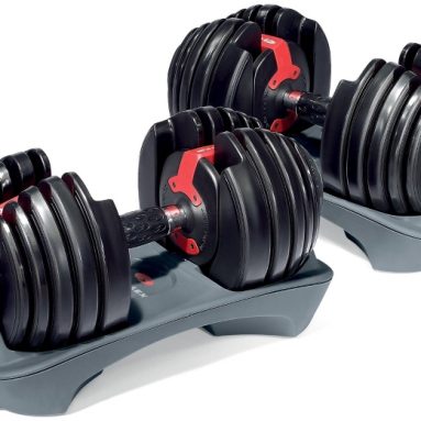 Bowflex  Adjustable Dumbbells