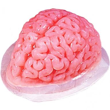 Brain Gelatin Mold Standard