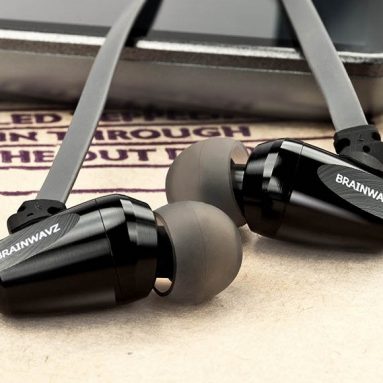 Brainwavz S5 In Ear Headphones