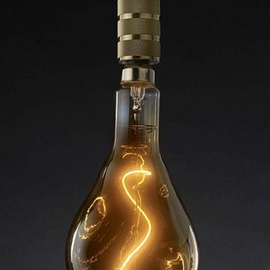 Bulbrite LED Grand Filament Nostalgic Droplet Shaped Light Bulb