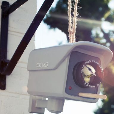 CCTV Birdhouse