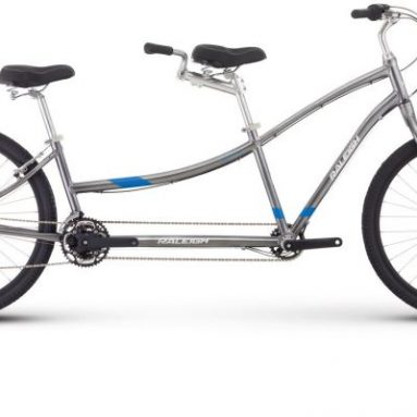 COMPANION MDLG SIL Complete Bicycle-Wheel