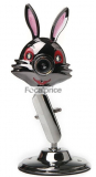 Rabbit Design PC Laptop USB Camera with Lights