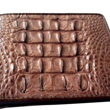 Caiman Crocodile Skin Hornback Bifold Wallet Brown