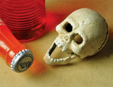 Cast Iron Jaw Dropper Skull Bottle Opener