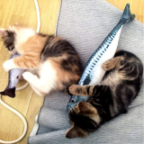 Cat Fish Shape Toothbrush with Catnip