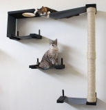 Cat Hammock and Climbing Activity Center