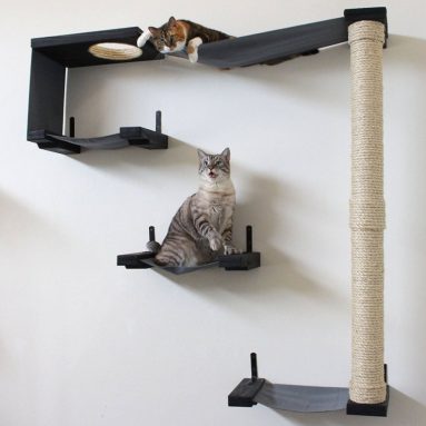 Cat Hammock and Climbing Activity Center
