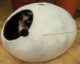 Cat House, Bed, Cave