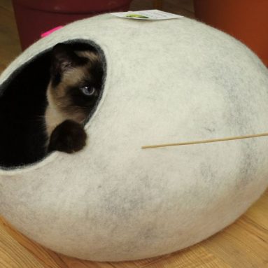 Cat House, Bed, Cave