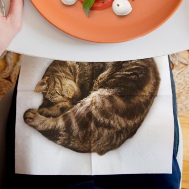 Cat Napkins