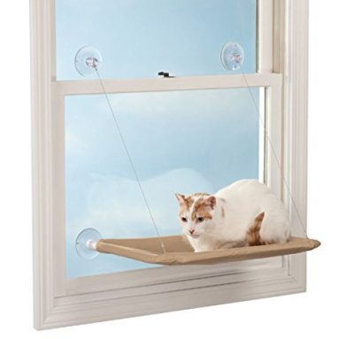 Cat Window Perch