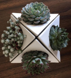 Ceramic Planter Pot for Succulent Cactus and Airplant