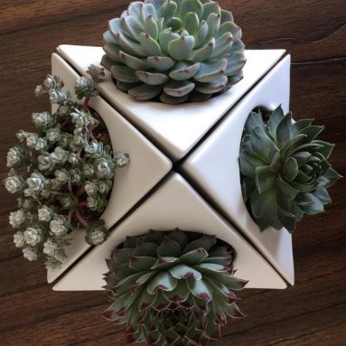 Ceramic Planter Pot for Succulent Cactus and Airplant