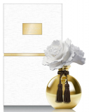Chando Porclain Oil Diffuser From the Myst Collection with a Beautiful Great Peony Garden Aroma (Gold)