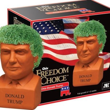 Chia Donald Trump Freedom of Choice Pottery Planter
