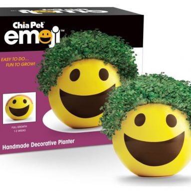 Chia Emoji Smiley Handmade Decorative Planter
