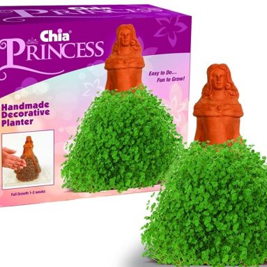 Chia Princess
