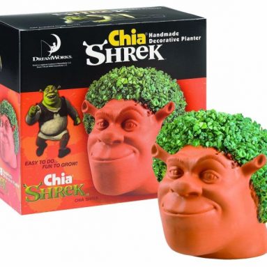 Shrek Handmade Decorative Planter