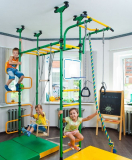 Children’s indoor home gym Swedish Wall