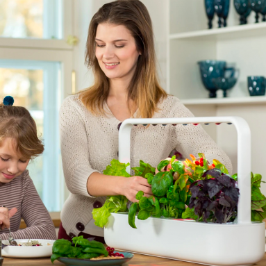 The Instant 9 Plant Garden