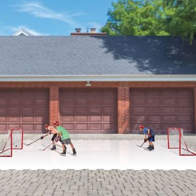 The Iceless Skating Rink