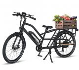 The Cargo Hauling Electric Bike