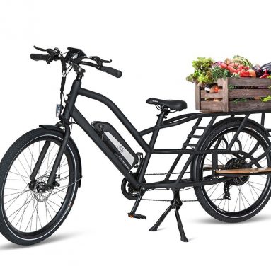 The Cargo Hauling Electric Bike