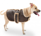 The Dog’s Leather Shearling Bomber Jacket