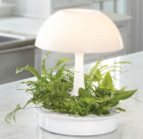 The Hydroponic Garden Lamp