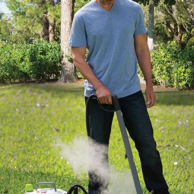 The Weed Killing Steamer