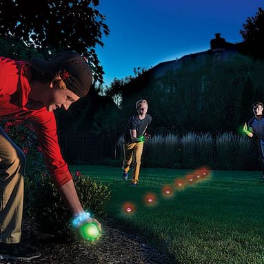 The Nocturnal Capture The Flag Game