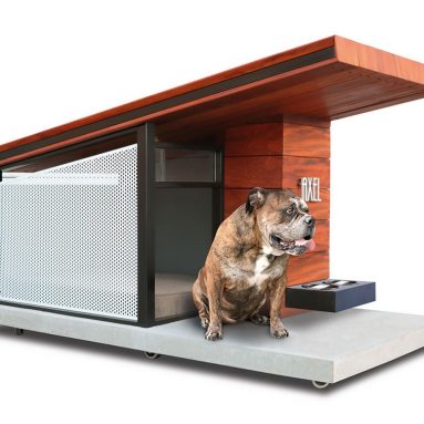 The Canine’s Passive Solar Condominium