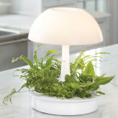 The Hydroponic Garden Lamp
