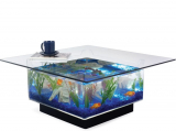 The Aquarium Coffee Table