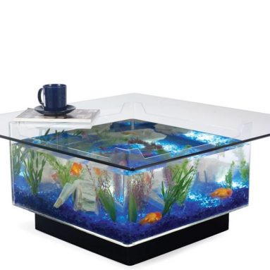 The Aquarium Coffee Table