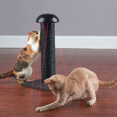 The Felines Laser Chasing Scratch Post