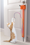 Cat String Toy
