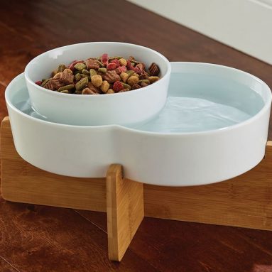 The Anti Ant Moated Pet Bowl