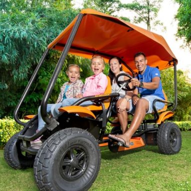 The All Terrain Touring Cart