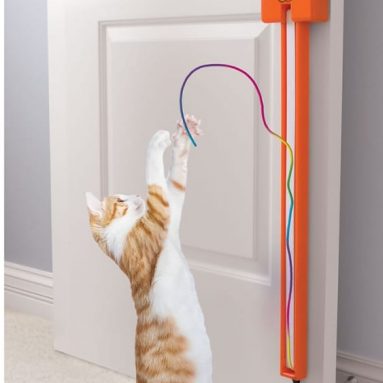 Cat String Toy