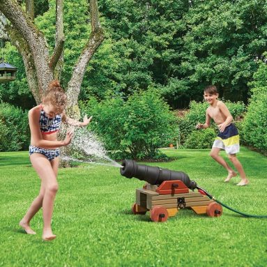 The Backyard Aquatic Bombard