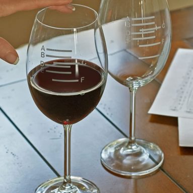 The Sommeliers Symphony Wine Glasses