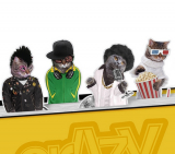 CRAZY CATS MAGNETIC BOOKMARKS