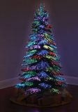 The Thousand Points of Light Tree
