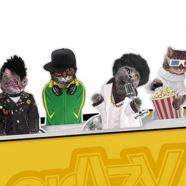 CRAZY CATS MAGNETIC BOOKMARKS