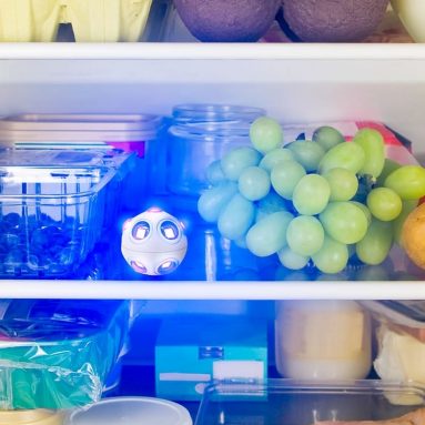 The Mold and Germ Destroying UV Light Spheres