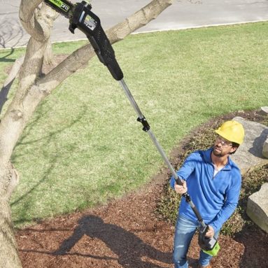 The Best Cordless Pole Saw