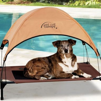 The Canopied Pet Lounger