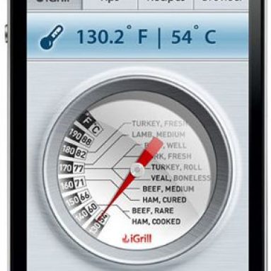 iGrill Digital Cooking Thermometer